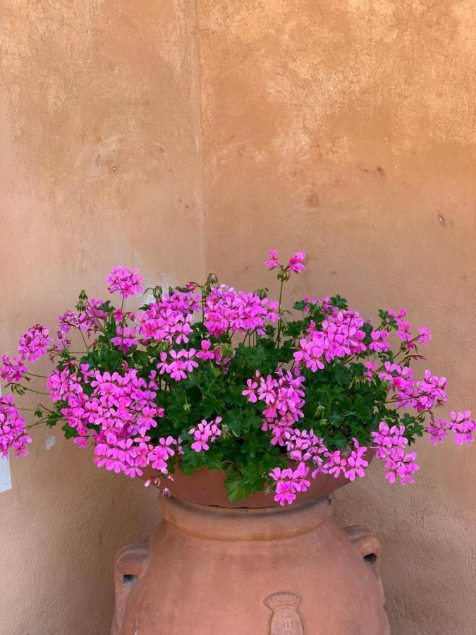 Fattoria Di Catignano Guest House San Giovanni  Exterior photo